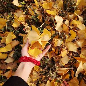 加州旅馆 Hotel California cover