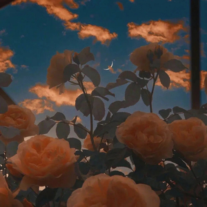 易雄飞-你永远是我的首选（Lix. remix）