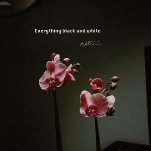 Everything black and white (Single)