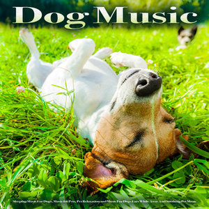 Puppy Music