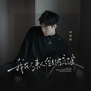 我在人来人往处流浪 (伴奏)