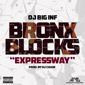 Bronx Blocks (Expressway)