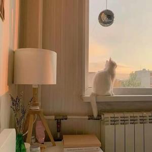 般配（Cover：江皓南）