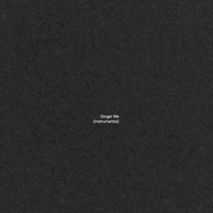 Ginger Me (Instrumental Version)