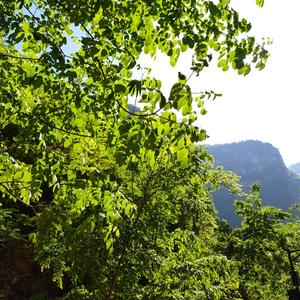 河南原生家庭学生的人生痛斥