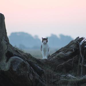 Through the wormhole