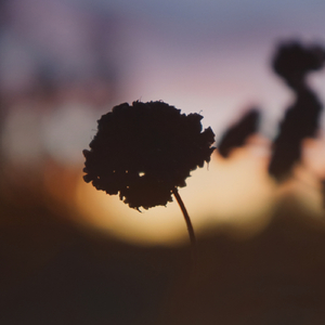 Stillpoint (marine eyes 'At Sunset' Rework)