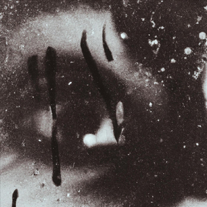 A Toast to the End of the World