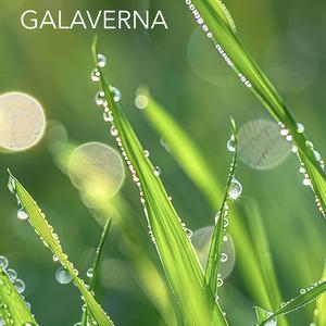 Galaverna