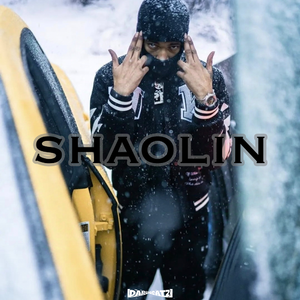 Free 采样 x Memphis Type Beat “Shaolin”