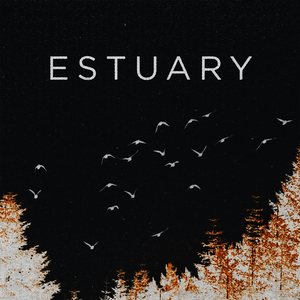 Estuary