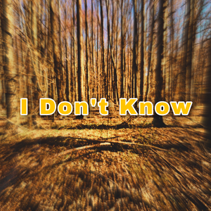 I Don't Know
