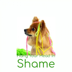 The Bridge Washed Out