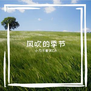 轻快的旋律