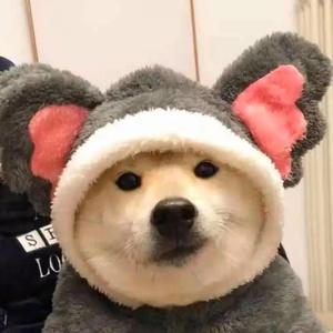 忽而今夏