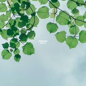 432 Hz (Meditation Music for Hope and Reflection)