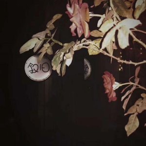 在风花雪月里叙旧