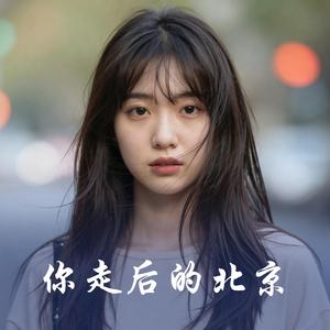你走后的北京