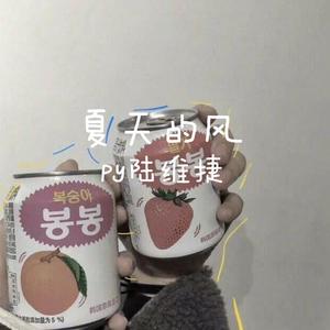 夏天的风