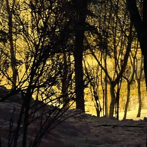 陪着我 Special Version