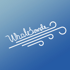 Vandeny (Vėjopatis Remix)