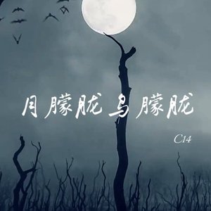 花朦胧鸟朦胧