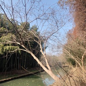 菩提山