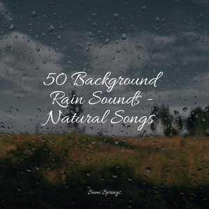 Rain, Drain, Cement, Lawn