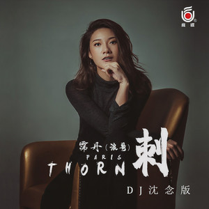 刺 (DJ沈念版)