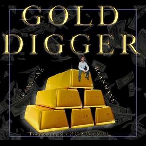 Gold Digger