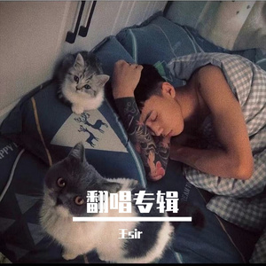 王sir - 别哭 有的人