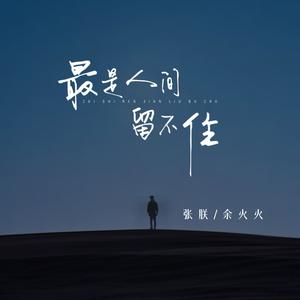 最是人间留不住 (氛围版)