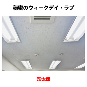 秘密のウィークデイ・ラブ