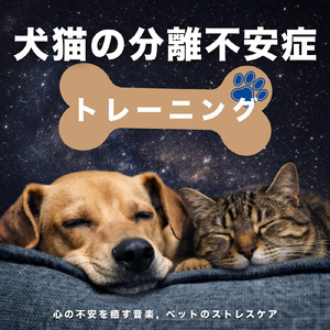 癒し音楽-脳疲労リセット-