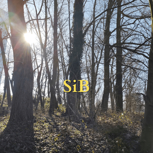 Reverie on a Winter Sunrise