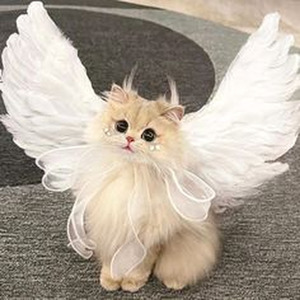 C’est La Vie (Speed up)