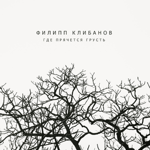 Звёздная вуаль