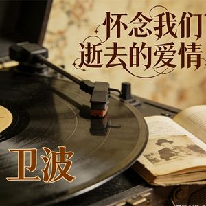 怀念我们逝去的爱情(伴奏)