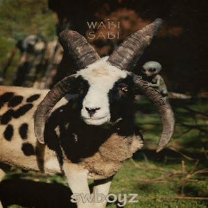 WaBiSaBi