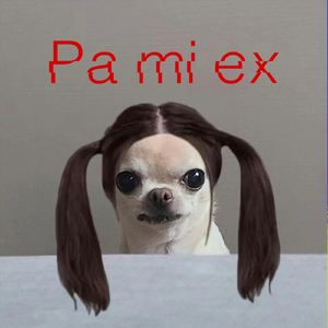 Pa Mi Ex
