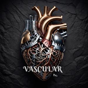 Vascular