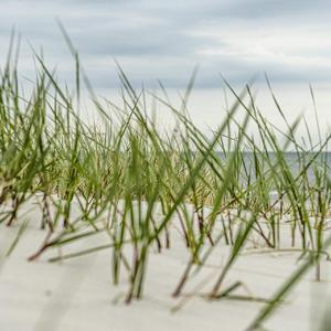 聂丽（鹰潭话版）