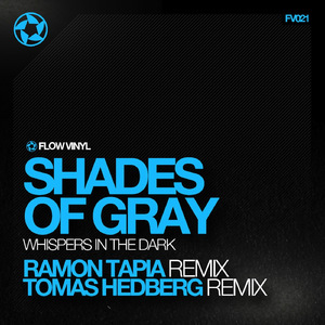 Whispers In The Dark (Tomas Hedberg Remix)