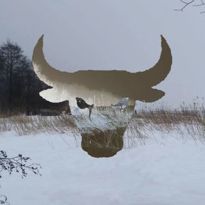 Йети