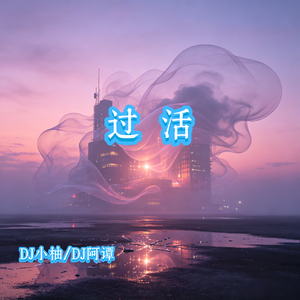 过活(DJ空灵鼓版)