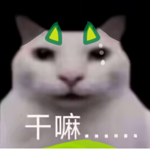 我的木木猫