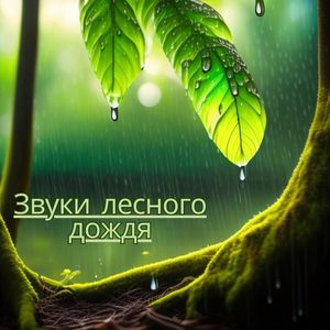 Звуки вечернего костра