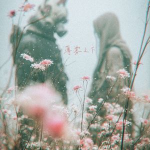 薄雾之下