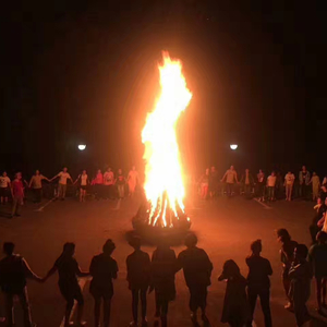 让我死在儿时奔跑的夕阳下