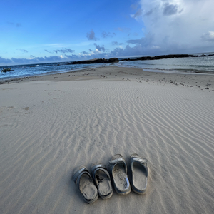 猎物与猎人(PROD BY MEG)